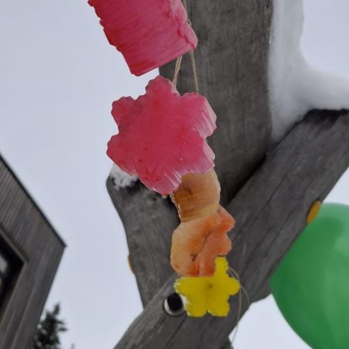 Bunte Eiskristalle