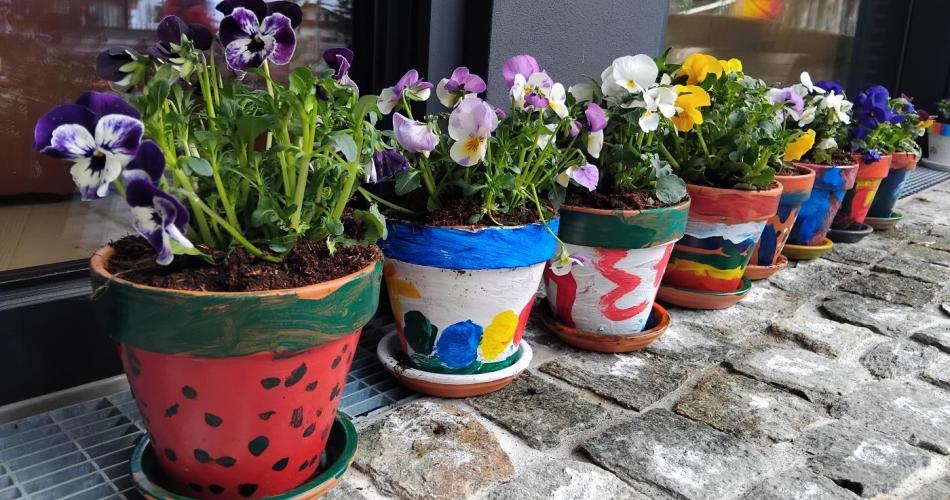 Bild zeigt Blumen in selbst bemalten Blumentöpfen